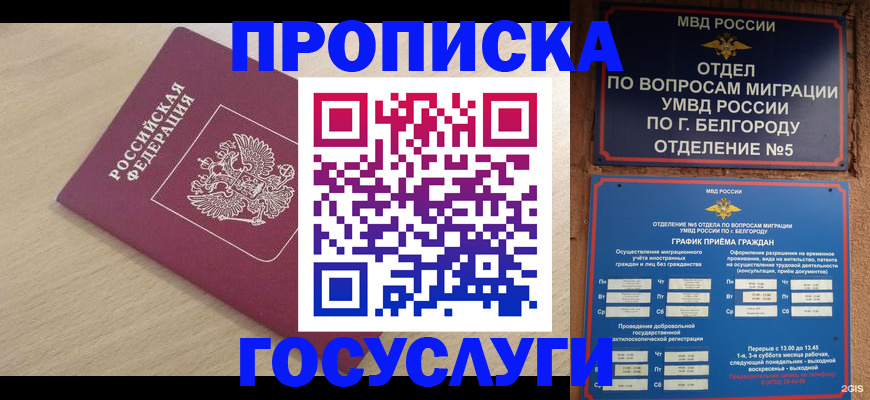 прописка законно в Котово