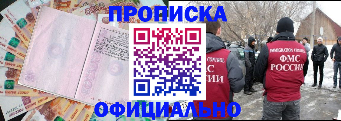 прописка поиск в Котово